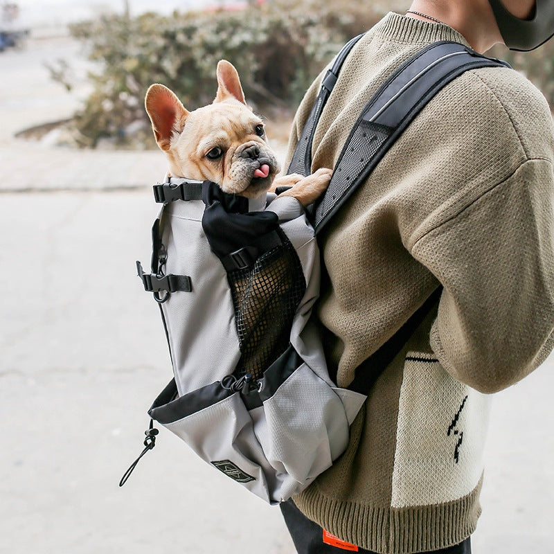 Pet Dog Carrier Backpack - Hands-Free Adventures With Your Small Dog!