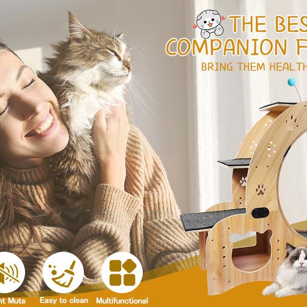 6-in-1 Cat Exercise Wheel - Your Cat's Boredom & Energy Problem Solved