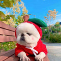Cute Fruit Hoodie for Small Dogs - Warm Fleece Winter Coat (Adorable Designs!)