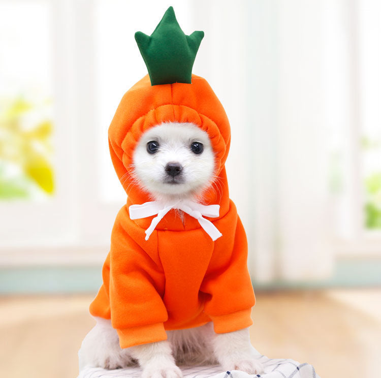 Cute Fruit Hoodie for Small Dogs - Warm Fleece Winter Coat (Adorable Designs!)