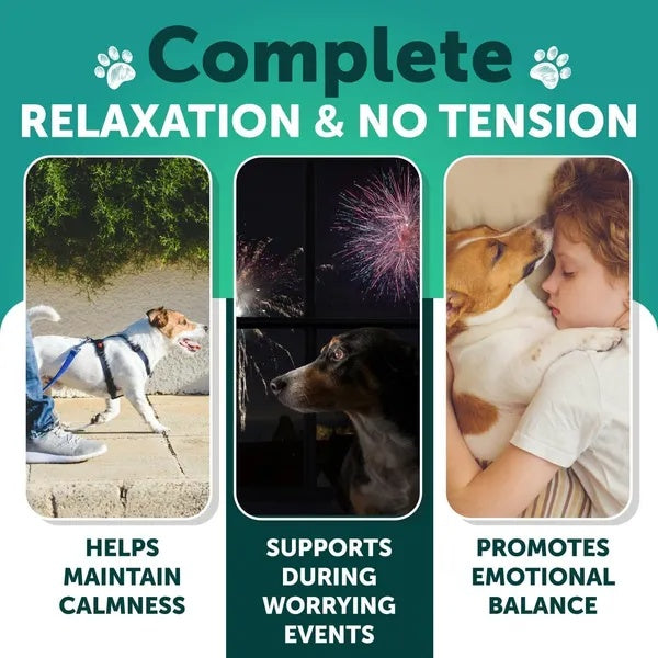Hemp Calming Chews for Dogs - Anxiety Relief + Hip & Joint Support (120 Treats!)