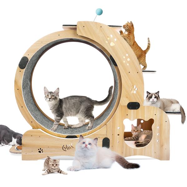 6-in-1 Cat Exercise Wheel - Your Cat's Boredom & Energy Problem Solved