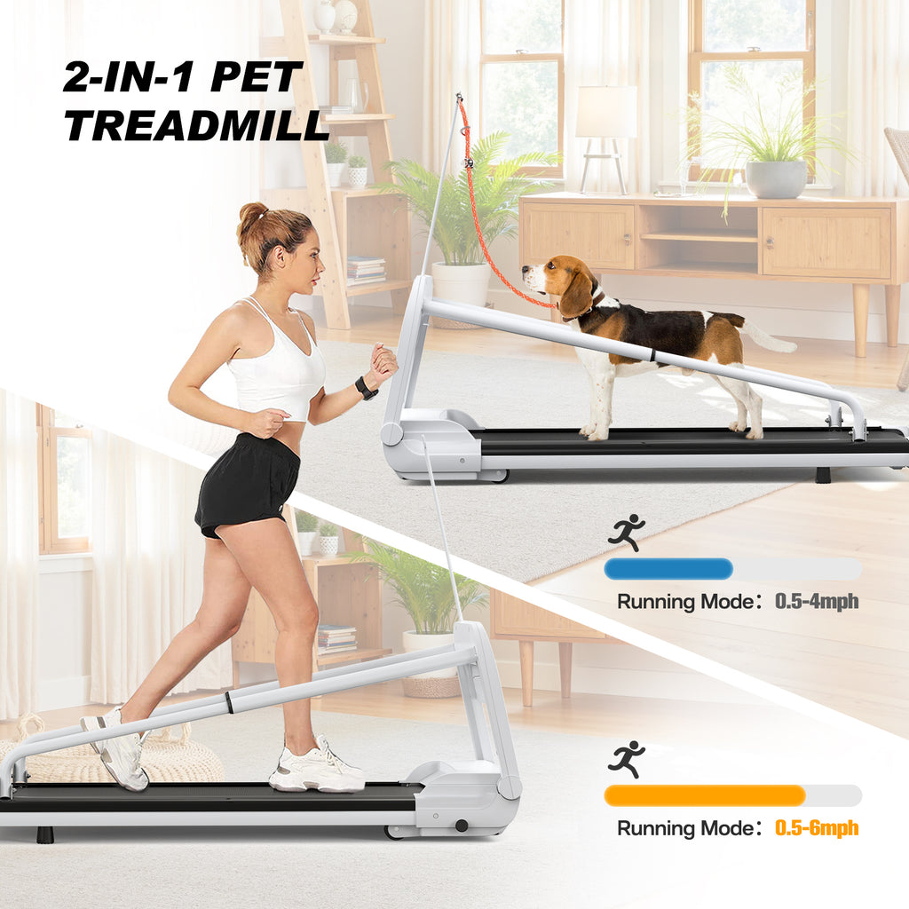 Smart Dog Treadmill - Your Pup Stays Fit Even on Rainy Days | Adjustable Speed