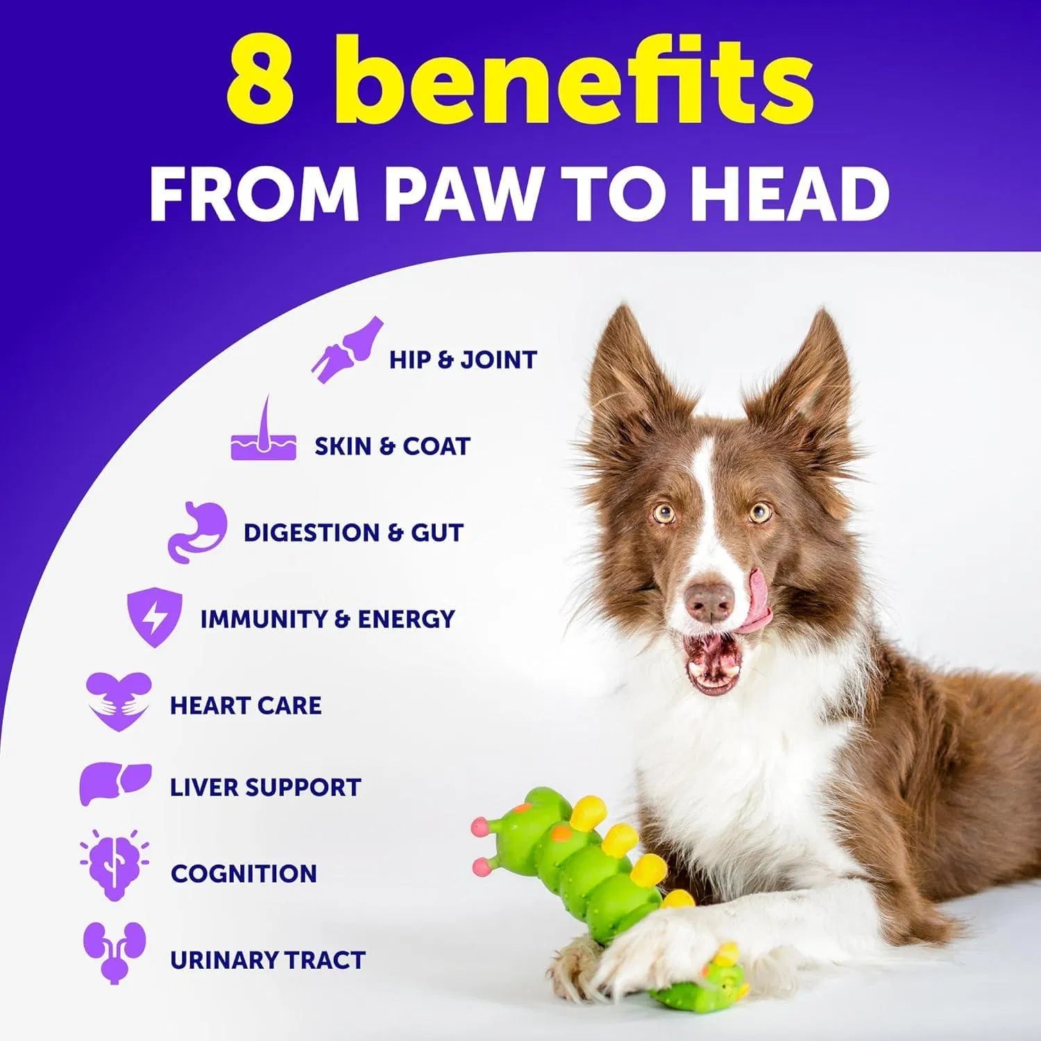 Dog Multivitamin 20-in-1 with Glucosamine - Complete Health for Puppies & Seniors (120 Chews!)