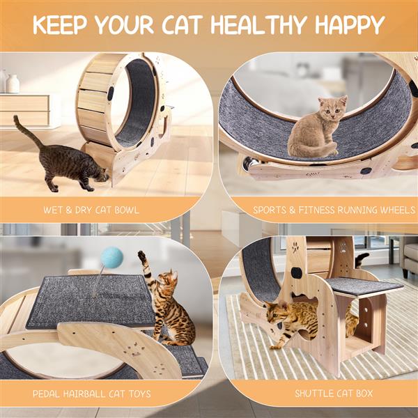 6-in-1 Cat Exercise Wheel - Your Cat's Boredom & Energy Problem Solved