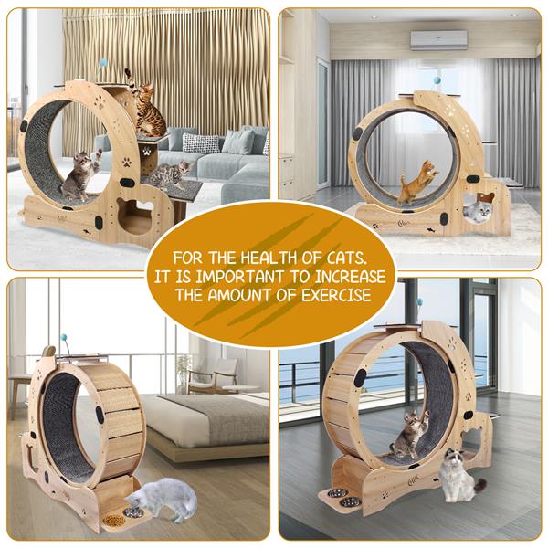 6-in-1 Cat Exercise Wheel - Your Cat's Boredom & Energy Problem Solved