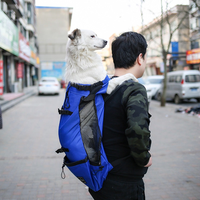 Pet Dog Carrier Backpack - Hands-Free Adventures With Your Small Dog!