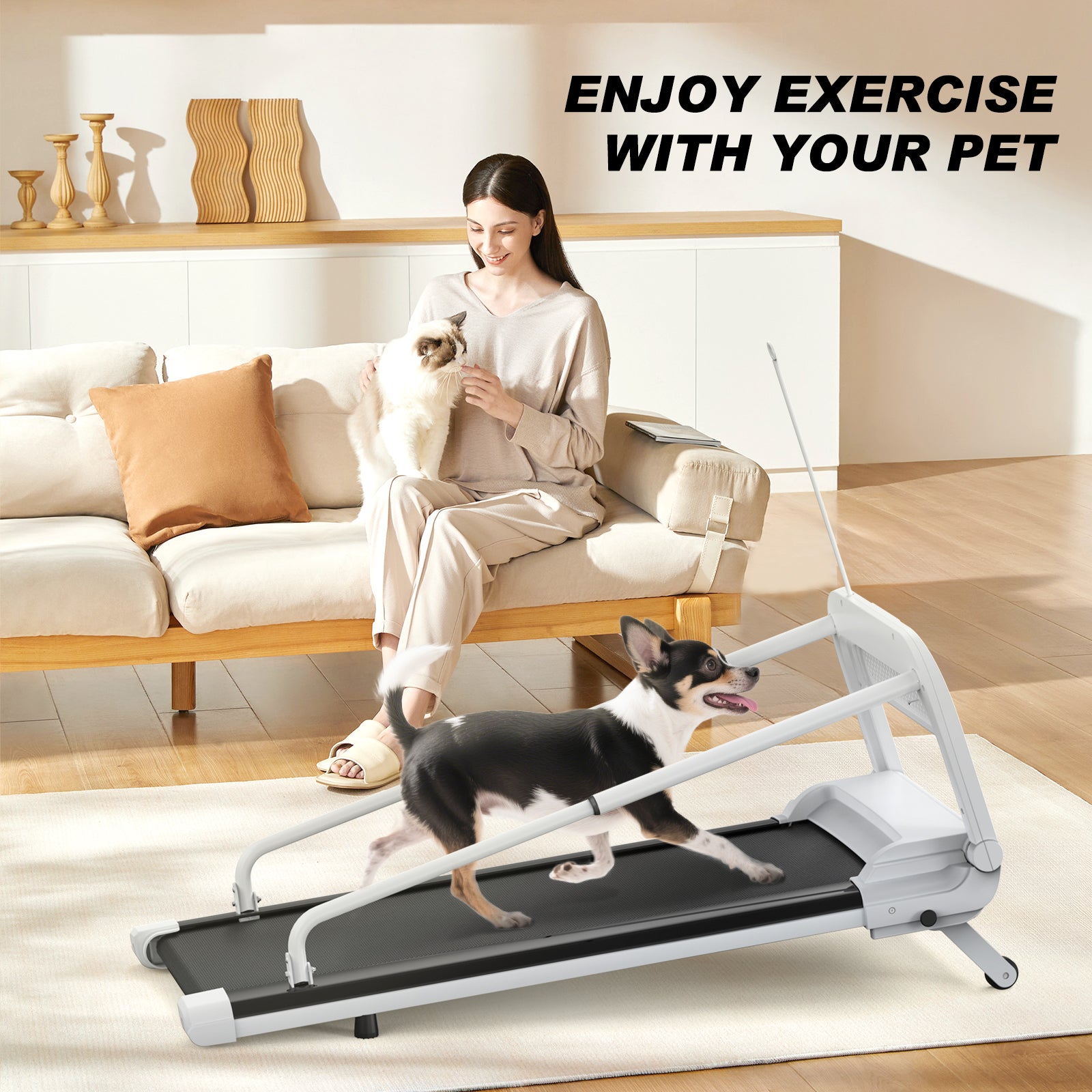 Smart Dog Treadmill - Your Pup Stays Fit Even on Rainy Days | Adjustable Speed