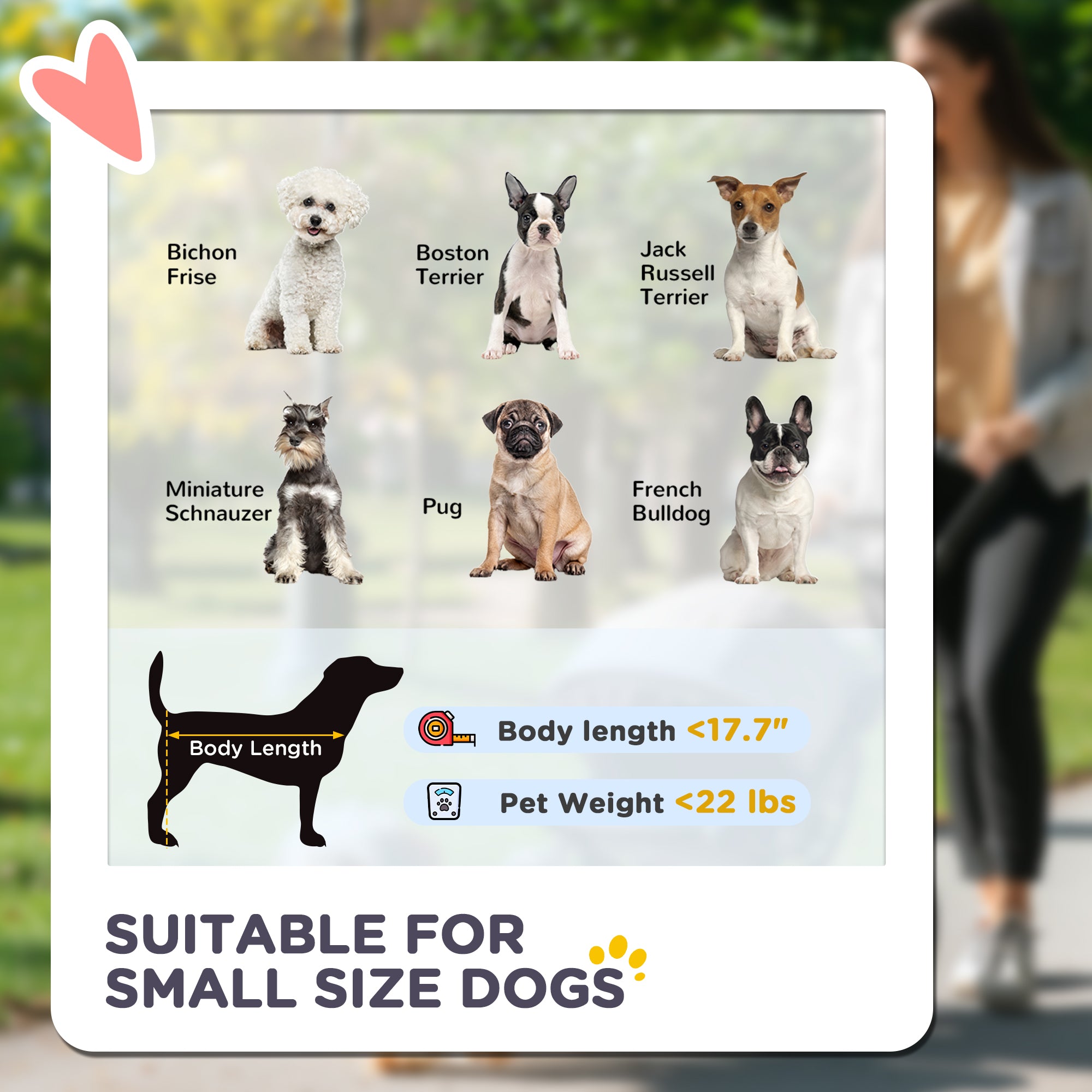 3-in-1 Dog Stroller - Your Senior Dog's Freedom (Stroller + Car Seat + Carrier!)