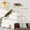 Cat Shelves for Indoor Cats - Wall-Mounted Climbing & Perching System