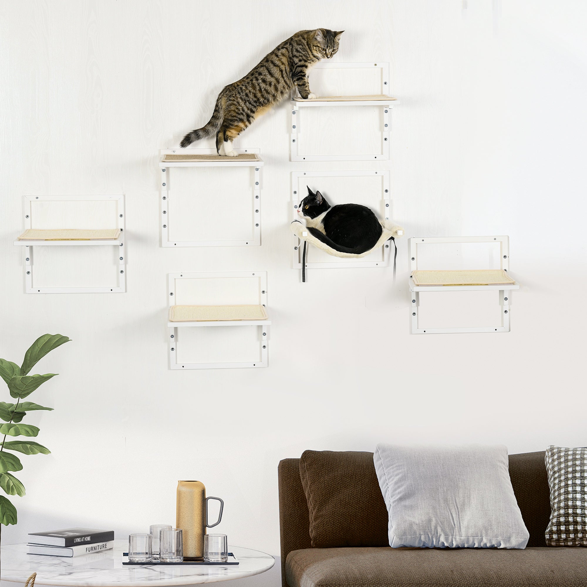 Cat Shelves for Indoor Cats - Wall-Mounted Climbing & Perching System