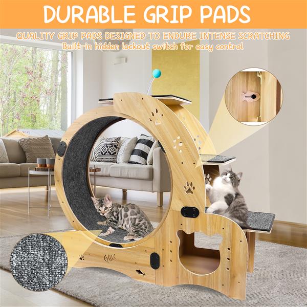 6-in-1 Cat Exercise Wheel - Your Cat's Boredom & Energy Problem Solved