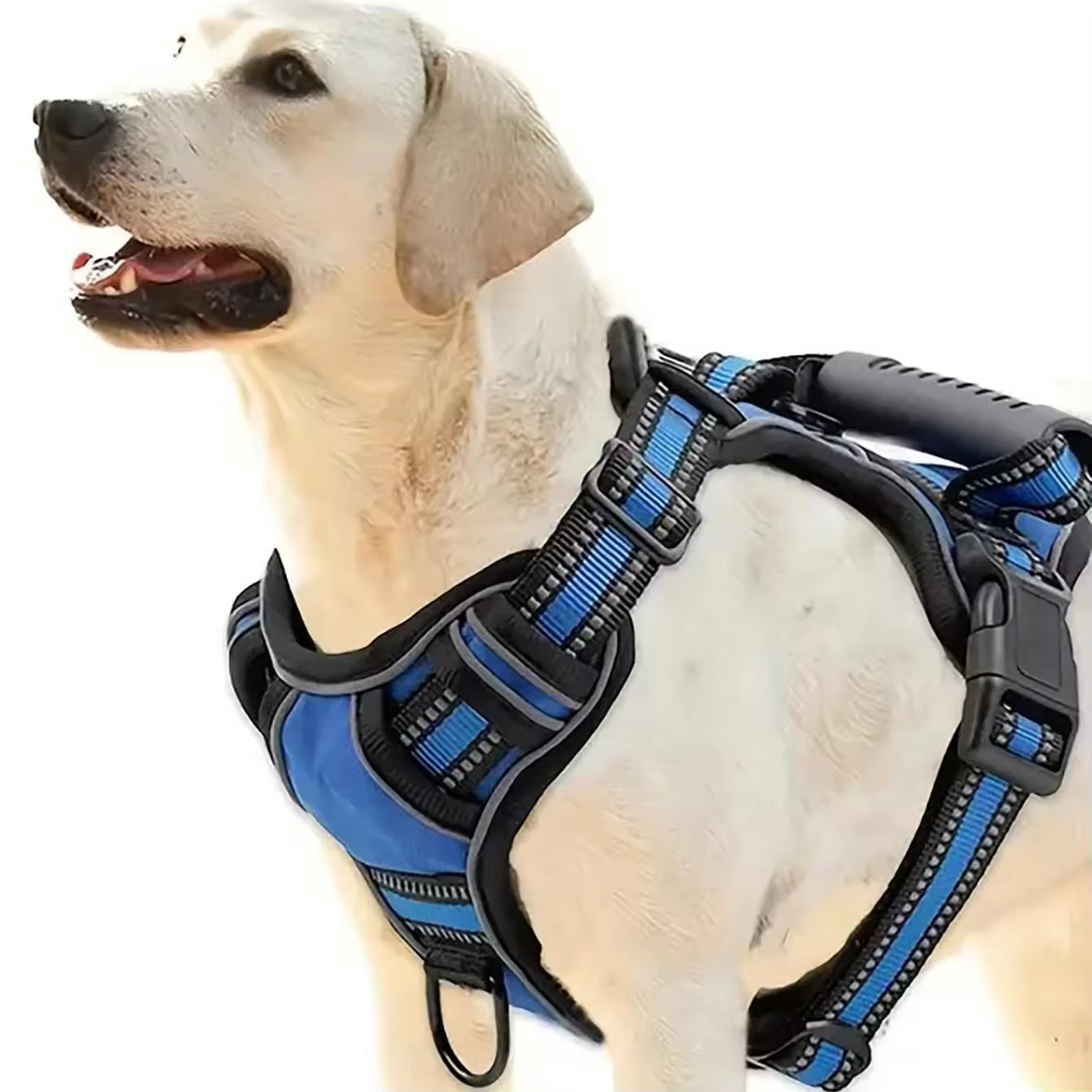 Tactical Service Dog Harness Complete Set - Everything Your Working Dog Needs!