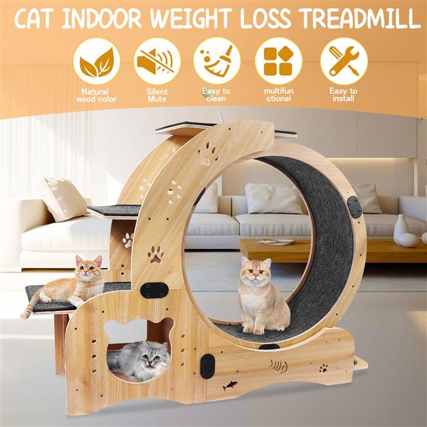 6-in-1 Cat Exercise Wheel - Your Cat's Boredom & Energy Problem Solved