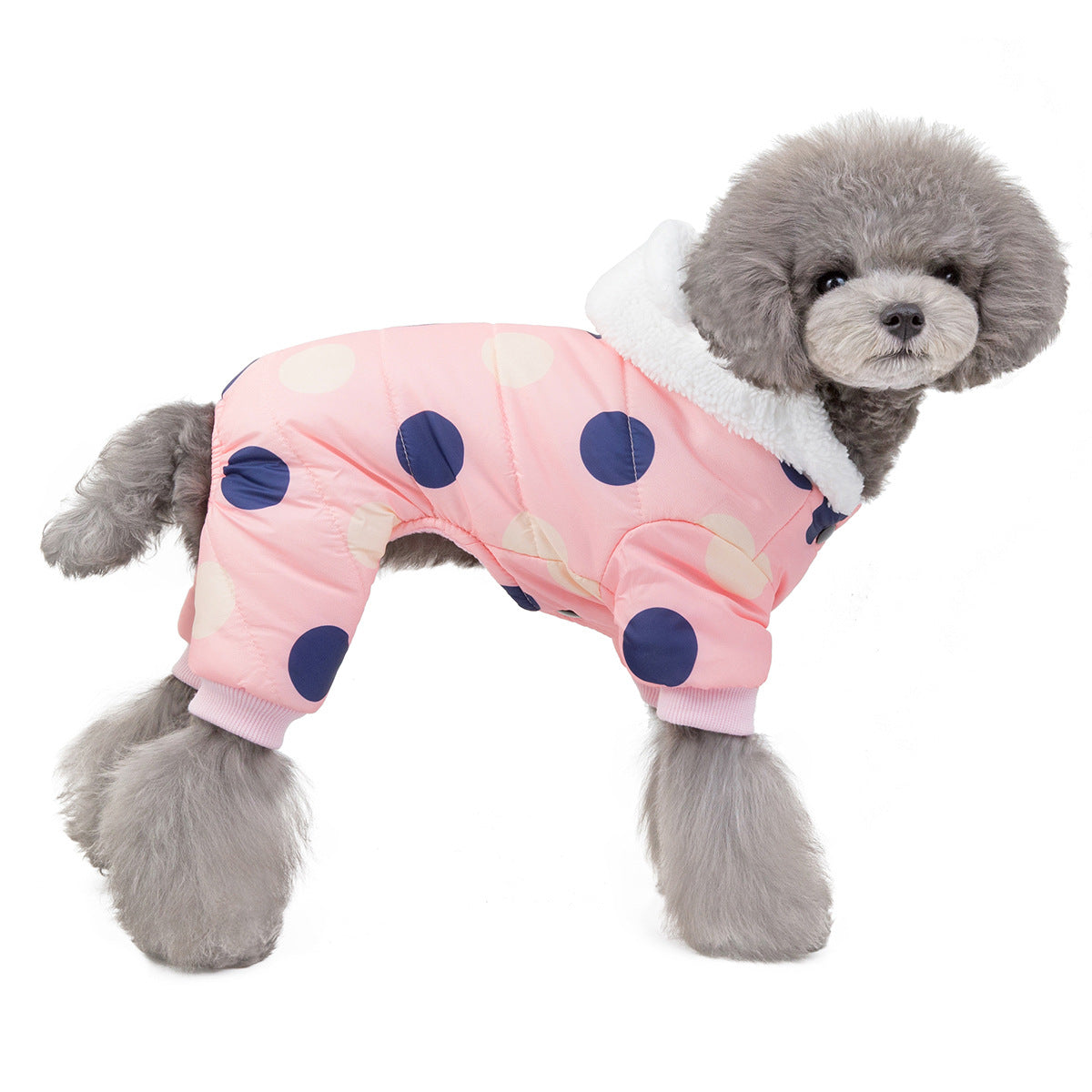 Polka Dot Dog Coat with 4 Legs - Warm, Adorable & Full Coverage (Cotton-Padded!)