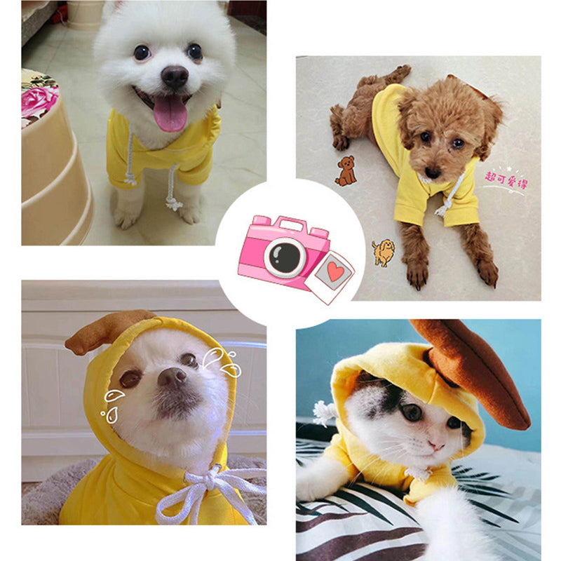 Cute Fruit Hoodie for Small Dogs - Warm Fleece Winter Coat (Adorable Designs!)