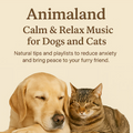 Animaland – Calm & Relax Music for Dogs and Cats