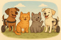 Guía práctica y emocional para el cuidado de perros y gatos con discapacidad – Animaland