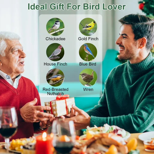 Outdoor Wild Bird Feeder - Squirrel-Proof Metal with 4 Feeding Ports