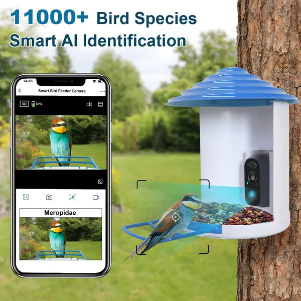 Comedero inteligente para pájaros con cámara solar - Identificación de aves por IA y video HD 1080P