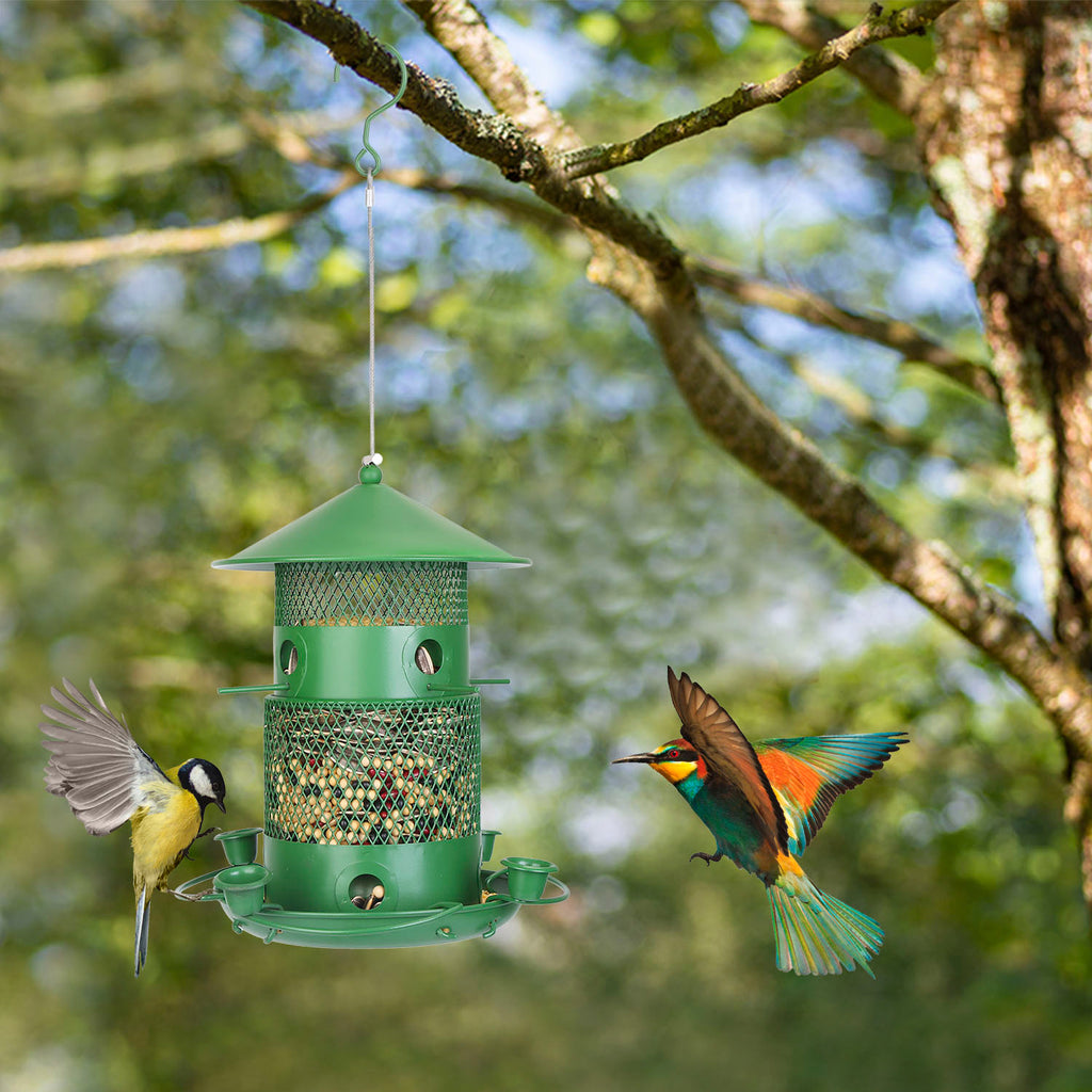 Comedero para pájaros silvestres - Comedero de metal a prueba de ardillas con perchas de 360° y bebederos