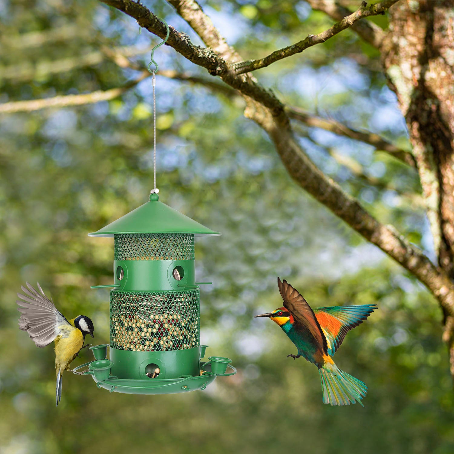 Comedero para pájaros silvestres - Comedero de metal a prueba de ardillas con perchas de 360° y bebederos