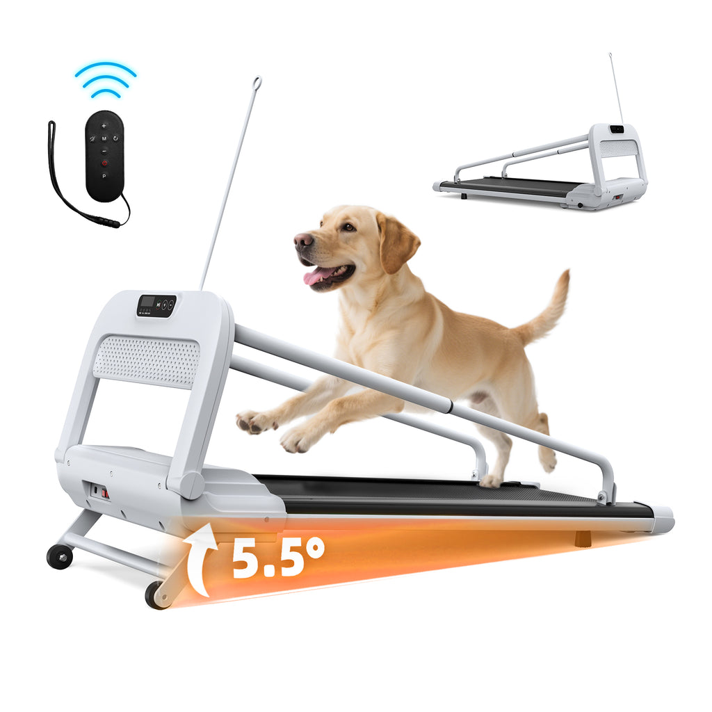 Smart Dog Treadmill - Your Pup Stays Fit Even on Rainy Days | Adjustable Speed