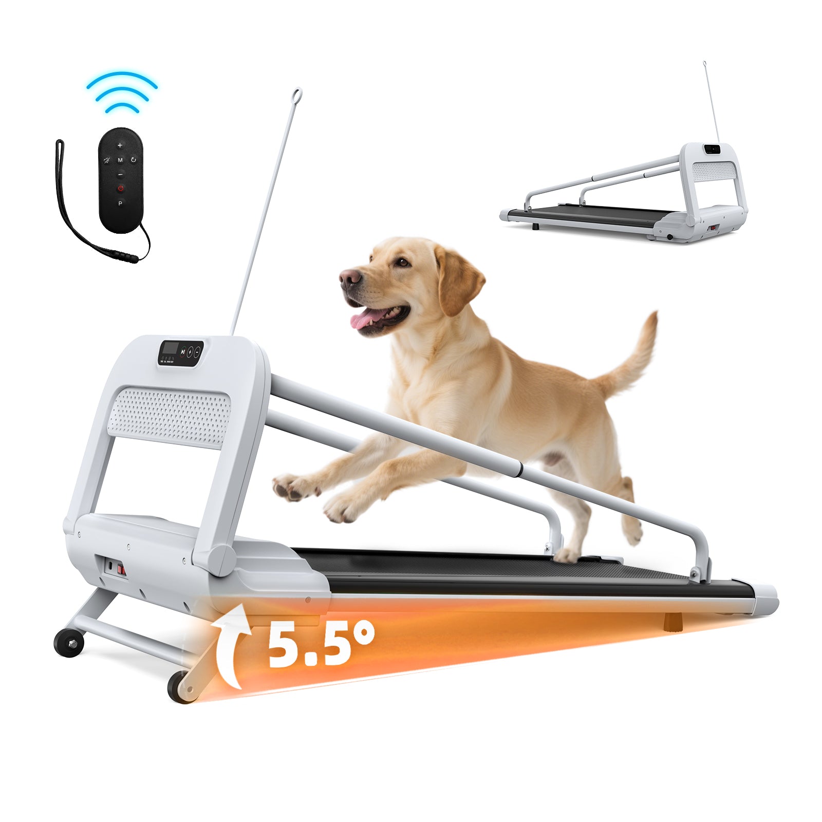 Smart Dog Treadmill - Your Pup Stays Fit Even on Rainy Days | Adjustable Speed