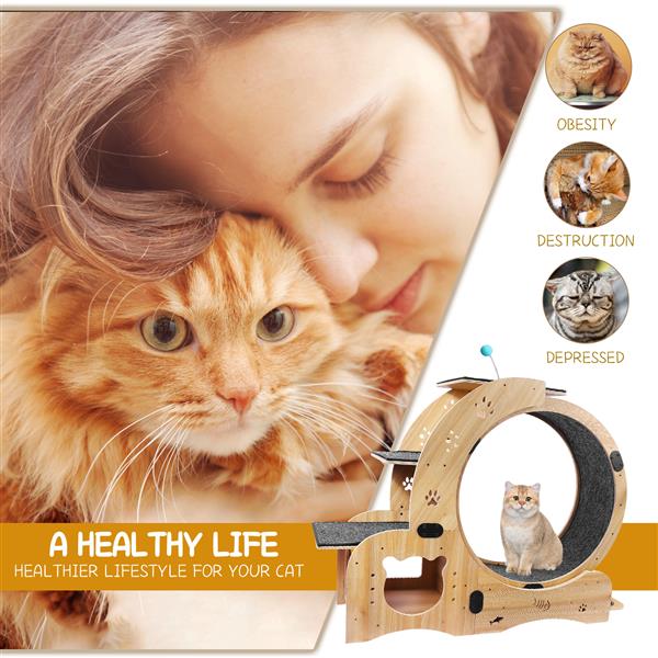 6-in-1 Cat Exercise Wheel - Your Cat's Boredom & Energy Problem Solved